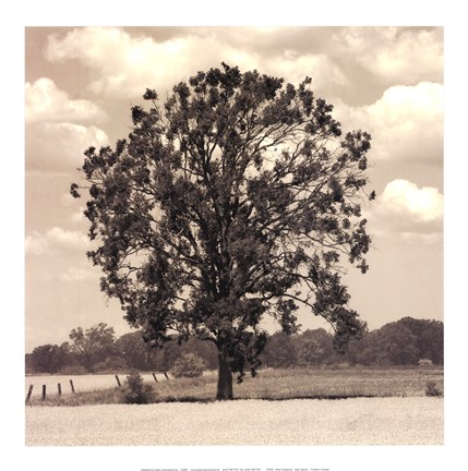 Framed Open Spaces Print