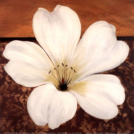 Framed Azalea Blossom Print