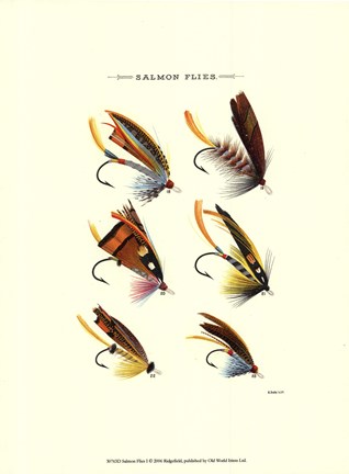 Framed Salmon Flies I Print