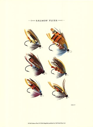 Framed Salmon Flies II Print