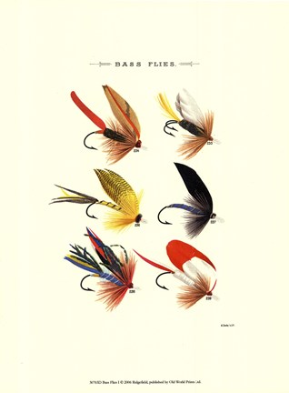 Framed Bass Flies I Print