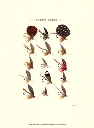 Framed Trout Flies II Print