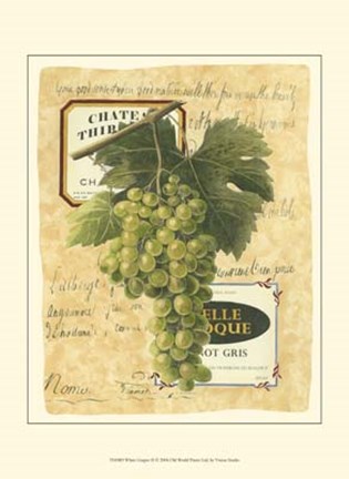 Framed Small White Grapes II Print