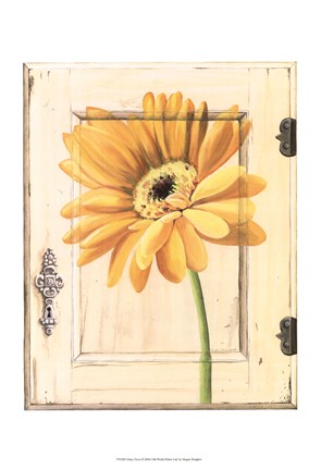 Framed Daisy Door Print