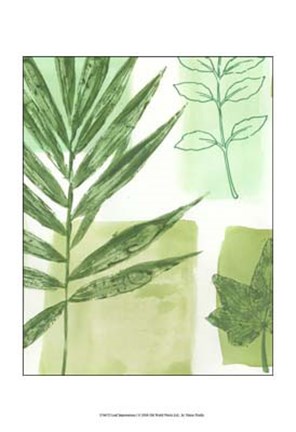 Framed Leaf Impressions I Print