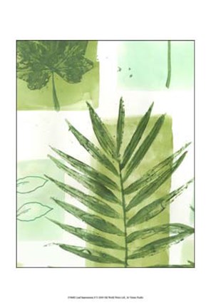 Framed Leaf Impressions II Print