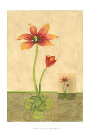 Framed Entwined Tulips Print