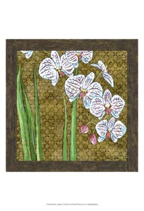 Framed Exotic Garden II Print