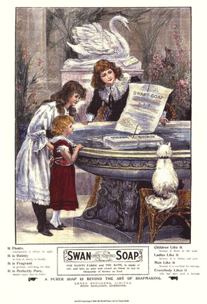 Framed Swan Soap Print