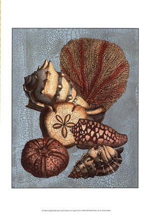 Framed Crackled Shell and Coral Collection on Aqua II Print