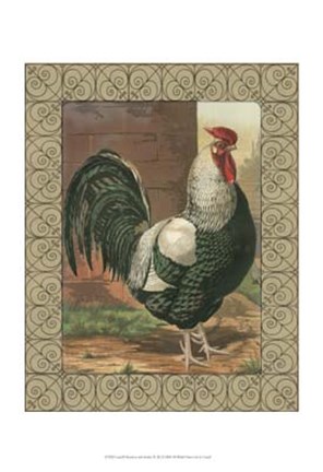 Framed Cassell&#39;s Roosters with Border IV Print