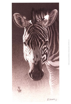 Framed Grant, the Zebra Print