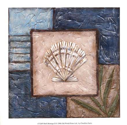 Framed Shell Montage II Print