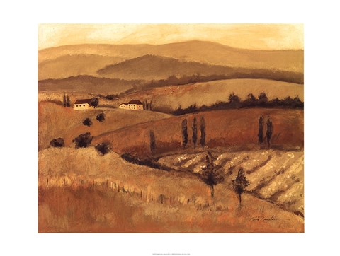 Framed Golden Tuscany Afternoon II Print