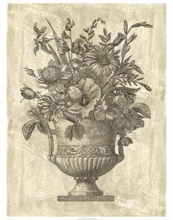 Framed Floral Splendor II Print