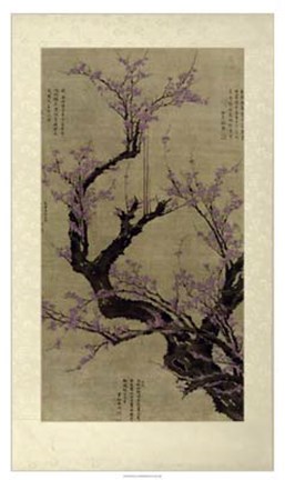Framed Plum Blossom Tree Print