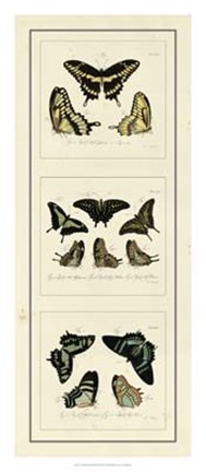 Framed Antique Butterfly Panel II Print