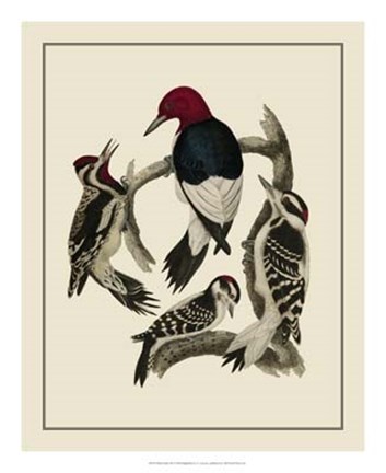 Framed Bird Family III Print