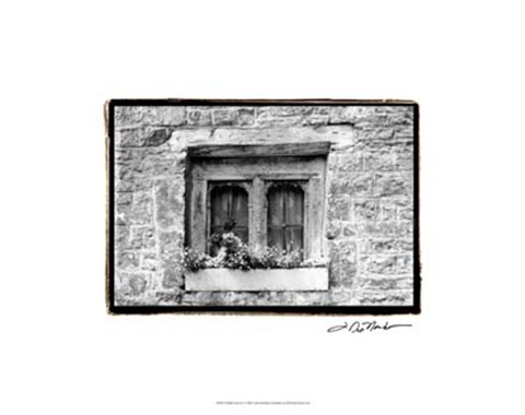 Framed Window Flowers Print