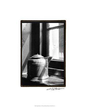 Framed Copper Reflections Print