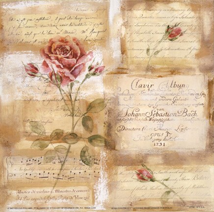 Framed Rose Concerto I Print