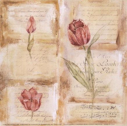 Framed Rose Concerto III Print