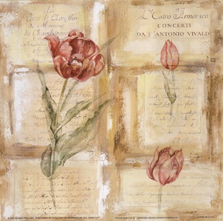 Framed Rose Concerto IV Print