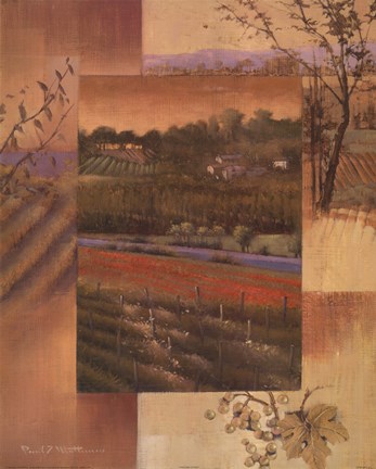 Framed Vineyard Sunset Print