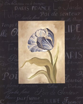 Framed Tulipe Bleue II Print