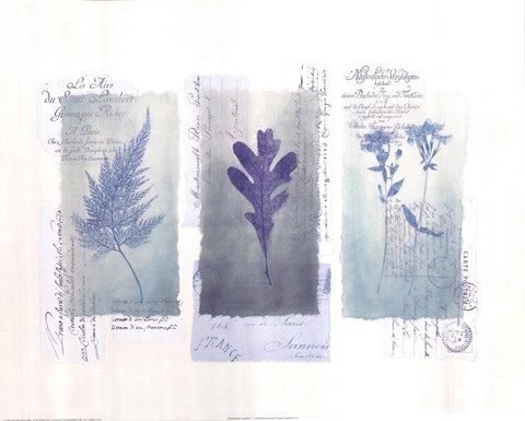 Framed Designer Stamp I Print