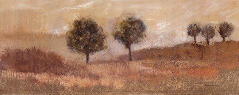 Framed Fields of Gold II Print