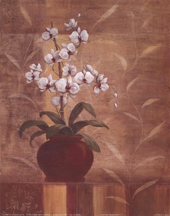 Framed Orchid Obsession I Print