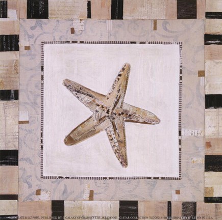 Framed Shell Simplicity II Print