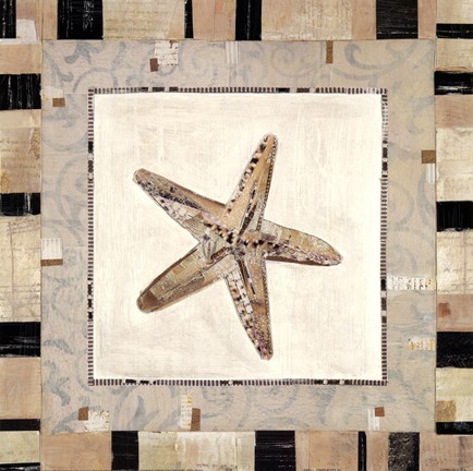 Framed Shell Simplicity II Print