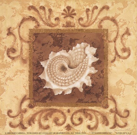 Framed Stylized Shell IV Print