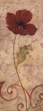 Framed Poppy Passion I Print