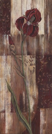 Framed Ashley Iris I Print