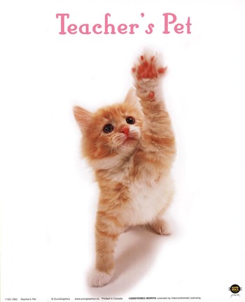 Framed Teacher'S Pet Print