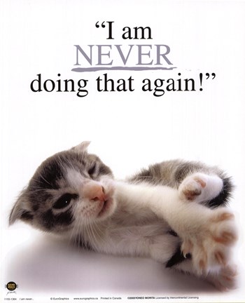 Framed I Am Never... Print