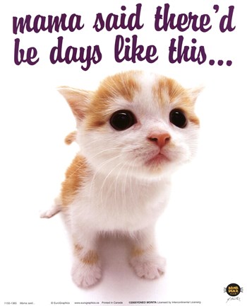 Framed Mama Said... Print