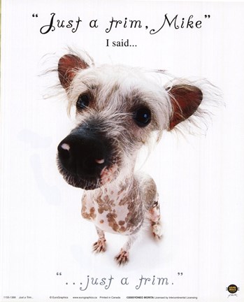 Framed Just A Trim... Print