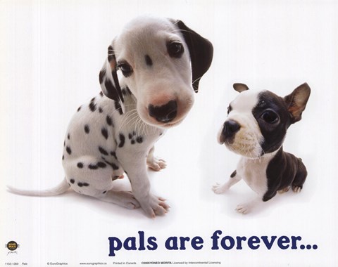 Framed Pals Are Forever Print