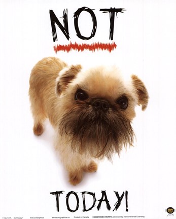 Framed Not Today! Print