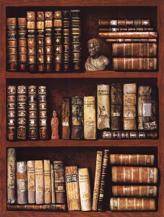 Framed Library Print
