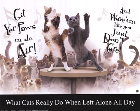 Framed Cat Party Print