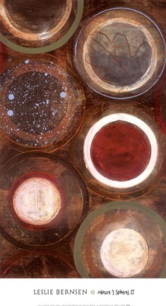 Framed Nature's Spheres II Print