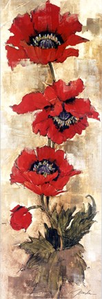 Framed Strand of Poppies II Print
