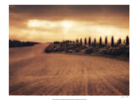 Framed Cypress Study - Tuscany Print
