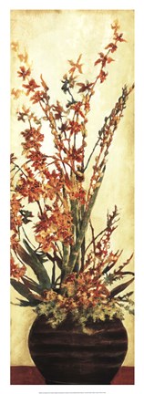 Framed Zen Beauties II Print