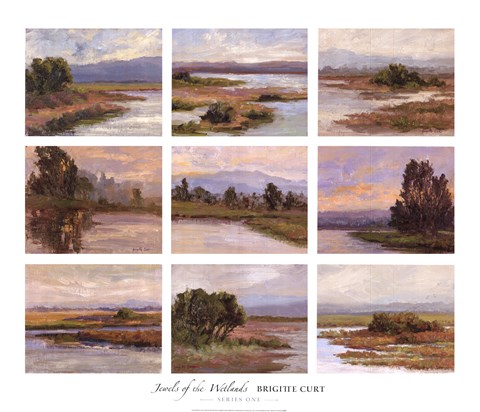 Framed Jewels of the Wetlands, Series One Print